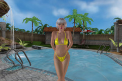 Virtual Sex Games - 01-3D-SexVilla-2-1780